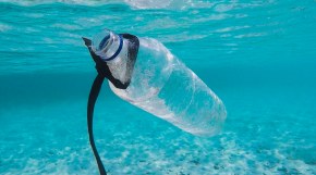 Senado aprueba Ley que prohíbe el uso de plástico en San Andrés y Providencia